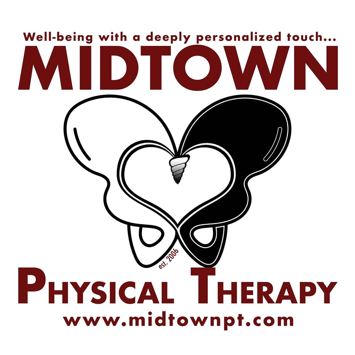 Project Details Midtown Physical Therapy LuckyDog Technology